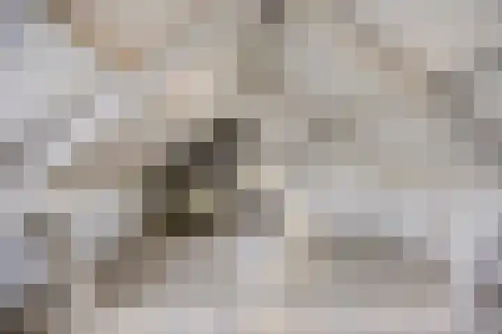 Hoogstraat 7 Steenbergen thumbnail 6