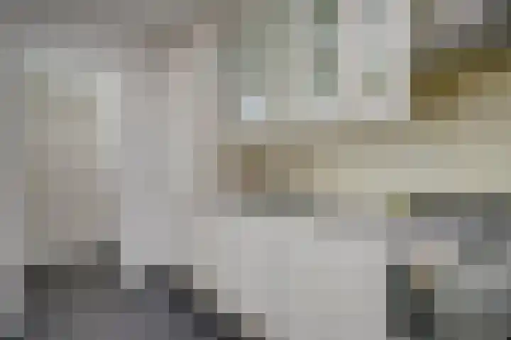 Hoogstraat 71 Utrecht thumbnail 18
