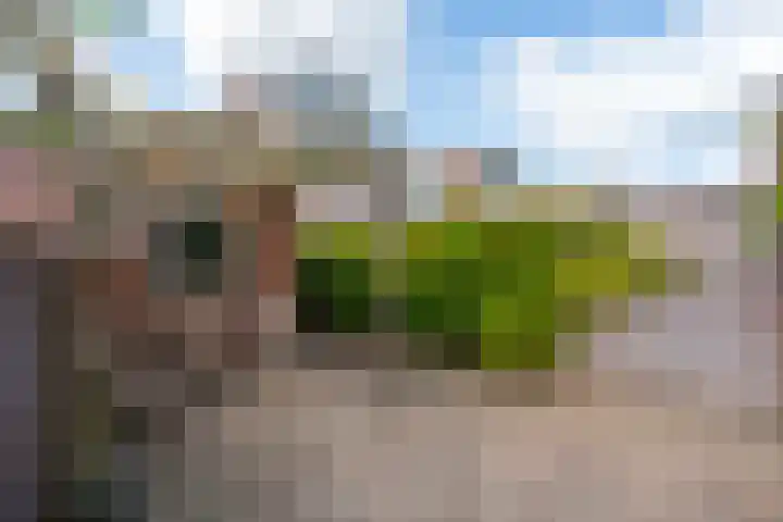 Hoogstraat 71 Utrecht thumbnail 23