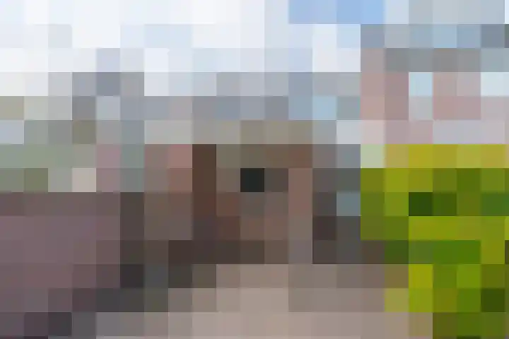 Hoogstraat 71 Utrecht thumbnail 24