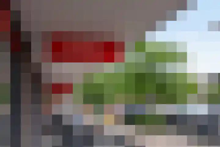 Hoogstraat 72 D Berlicum thumbnail 26