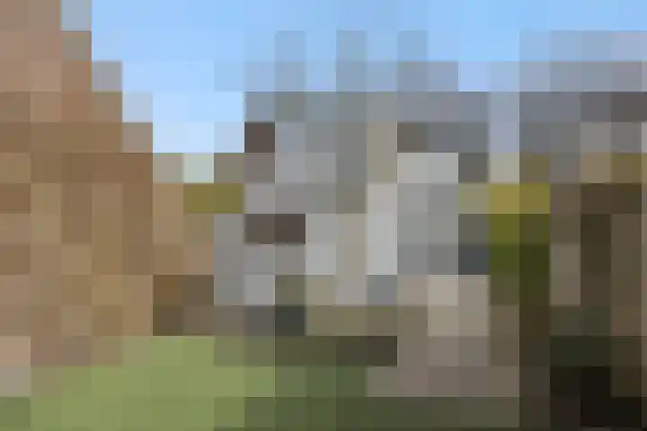 Hoogstraat 73 Vught thumbnail 34