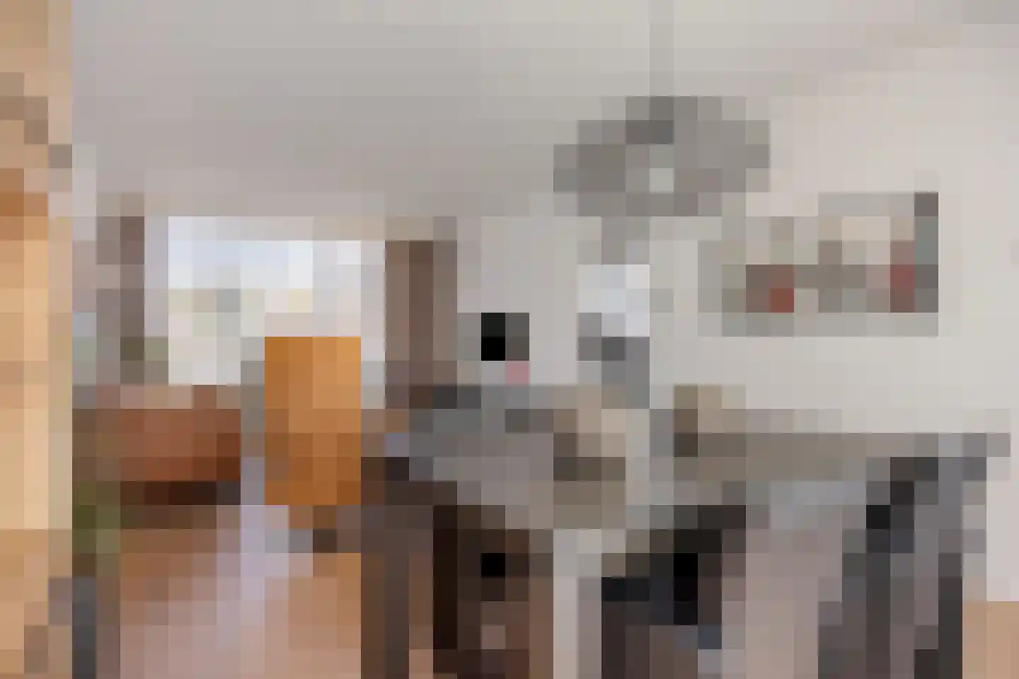 Hoogstraat 74 Horn thumbnail 13
