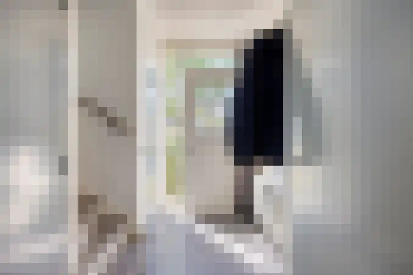 Hoogstraat 74 Horn thumbnail 4