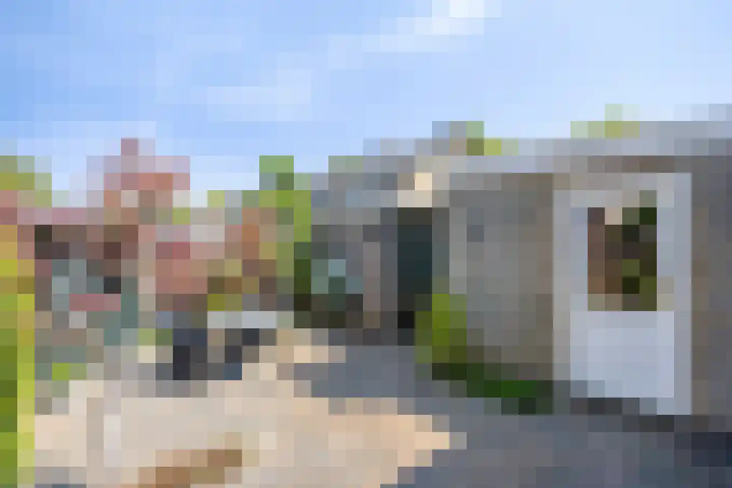 Hoogstraat 74 Horn thumbnail 53