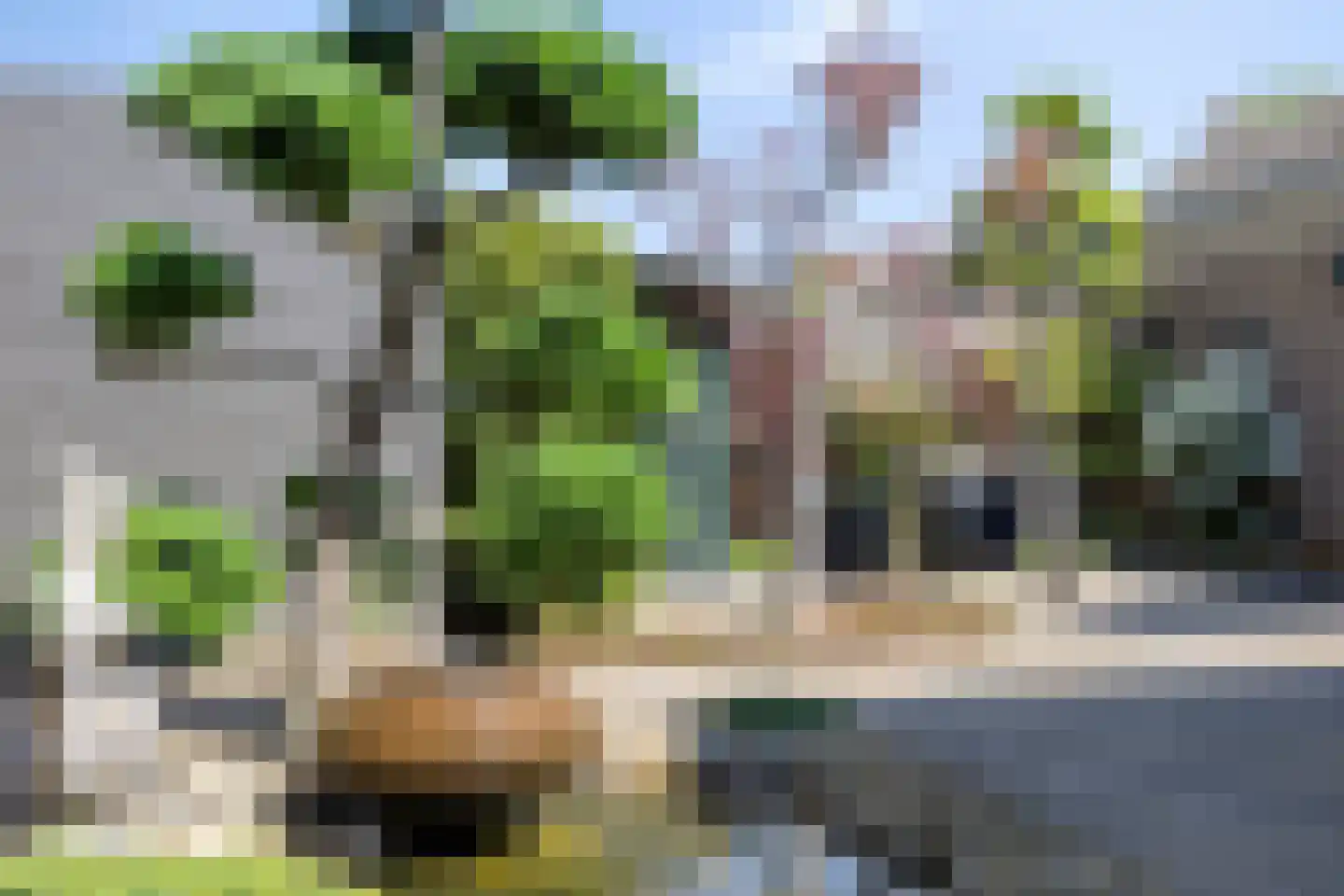 Hoogstraat 74 Horn thumbnail 54