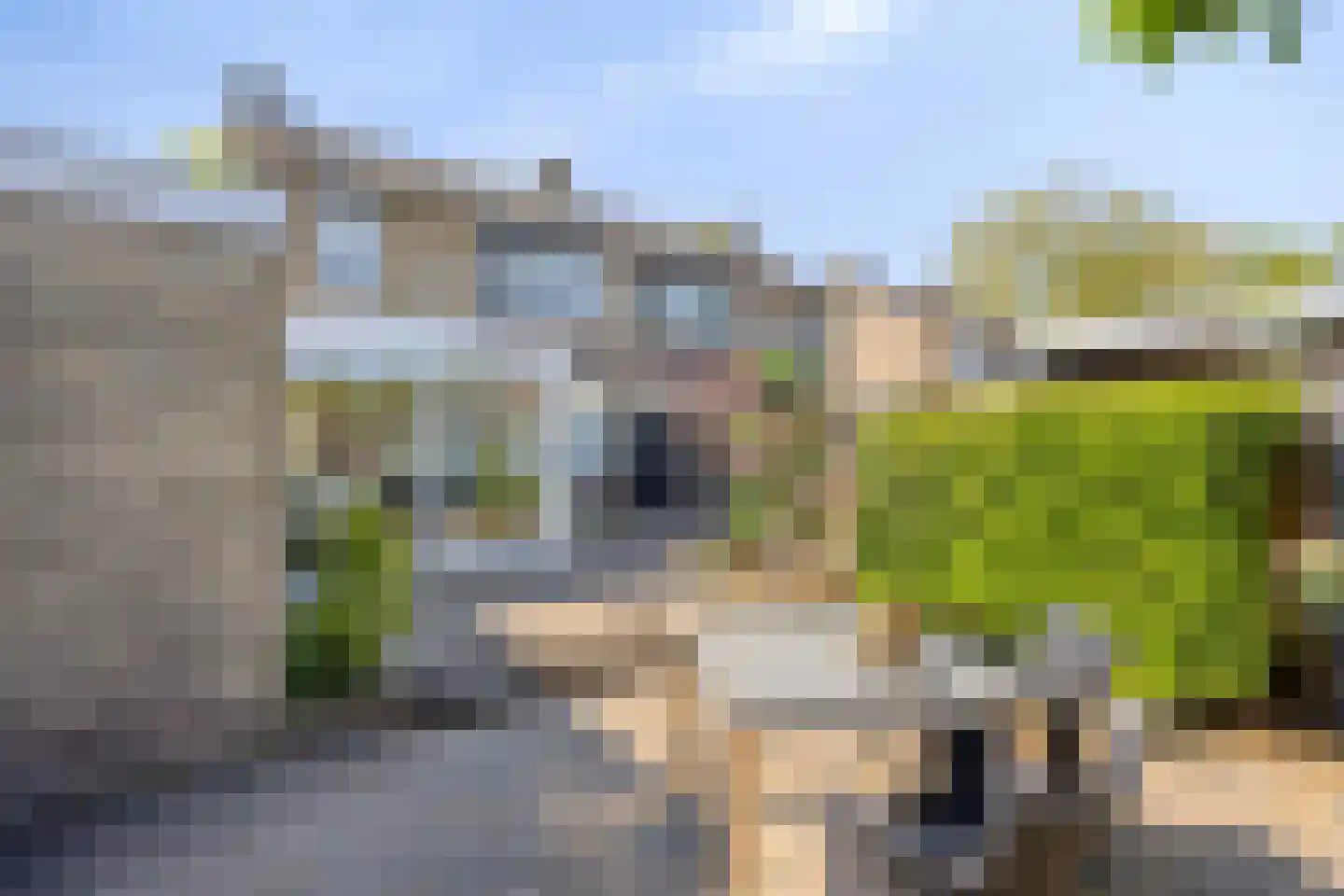 Hoogstraat 74 Horn thumbnail 56