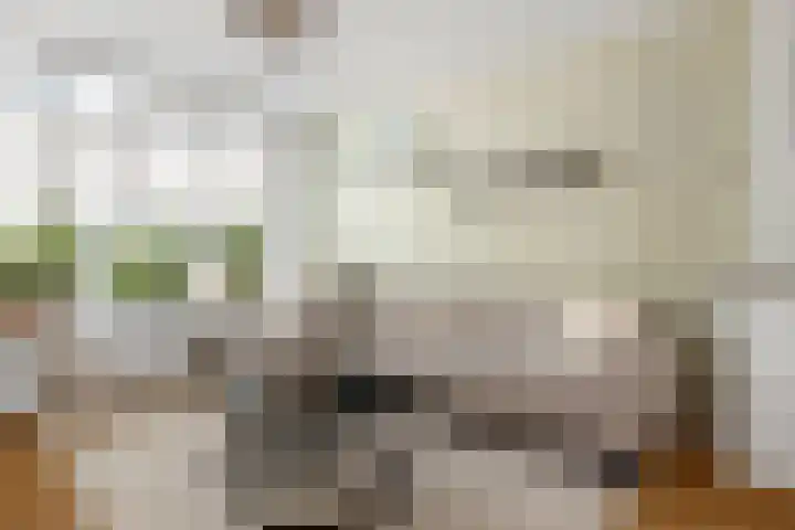 Hoogstraat 76 Den Helder thumbnail 5