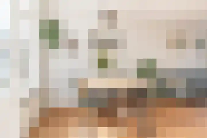 Hoogstraat 76 Utrecht thumbnail 11