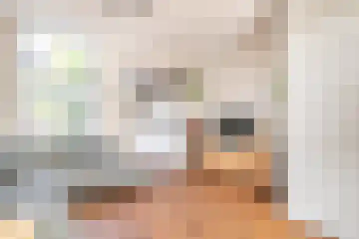 Hoogstraat 76 Utrecht thumbnail 8