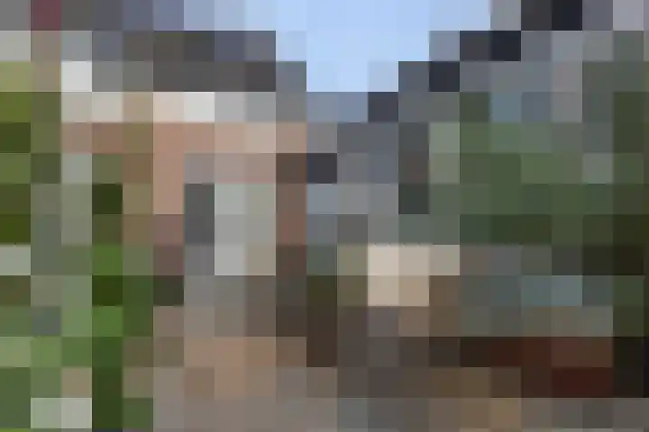 Hoogstraat 78 Apeldoorn thumbnail 27