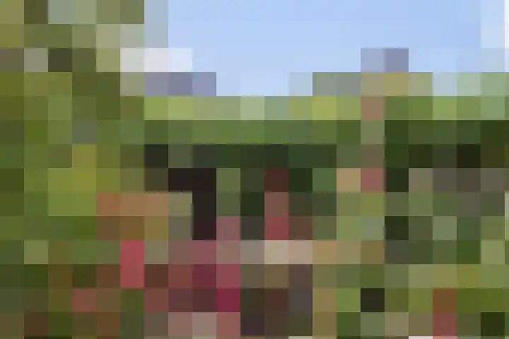 Hoogstraat 78 Apeldoorn thumbnail 30