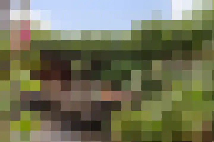 Hoogstraat 78 Apeldoorn thumbnail 31