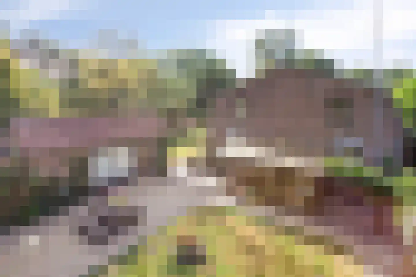 Hoogstraat 78 Sint-Oedenrode thumbnail 107