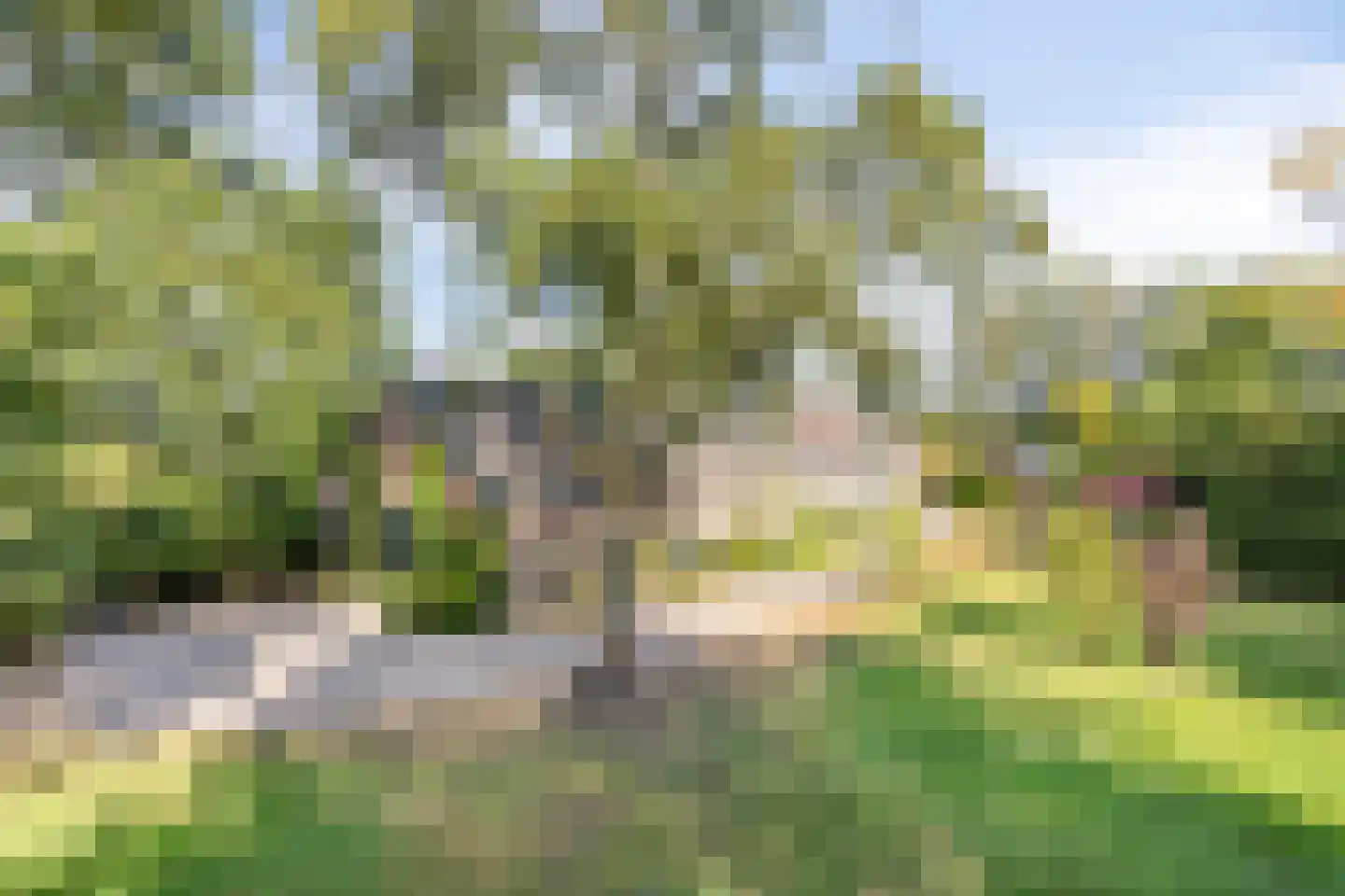 Hoogstraat 78 Sint-Oedenrode thumbnail 108