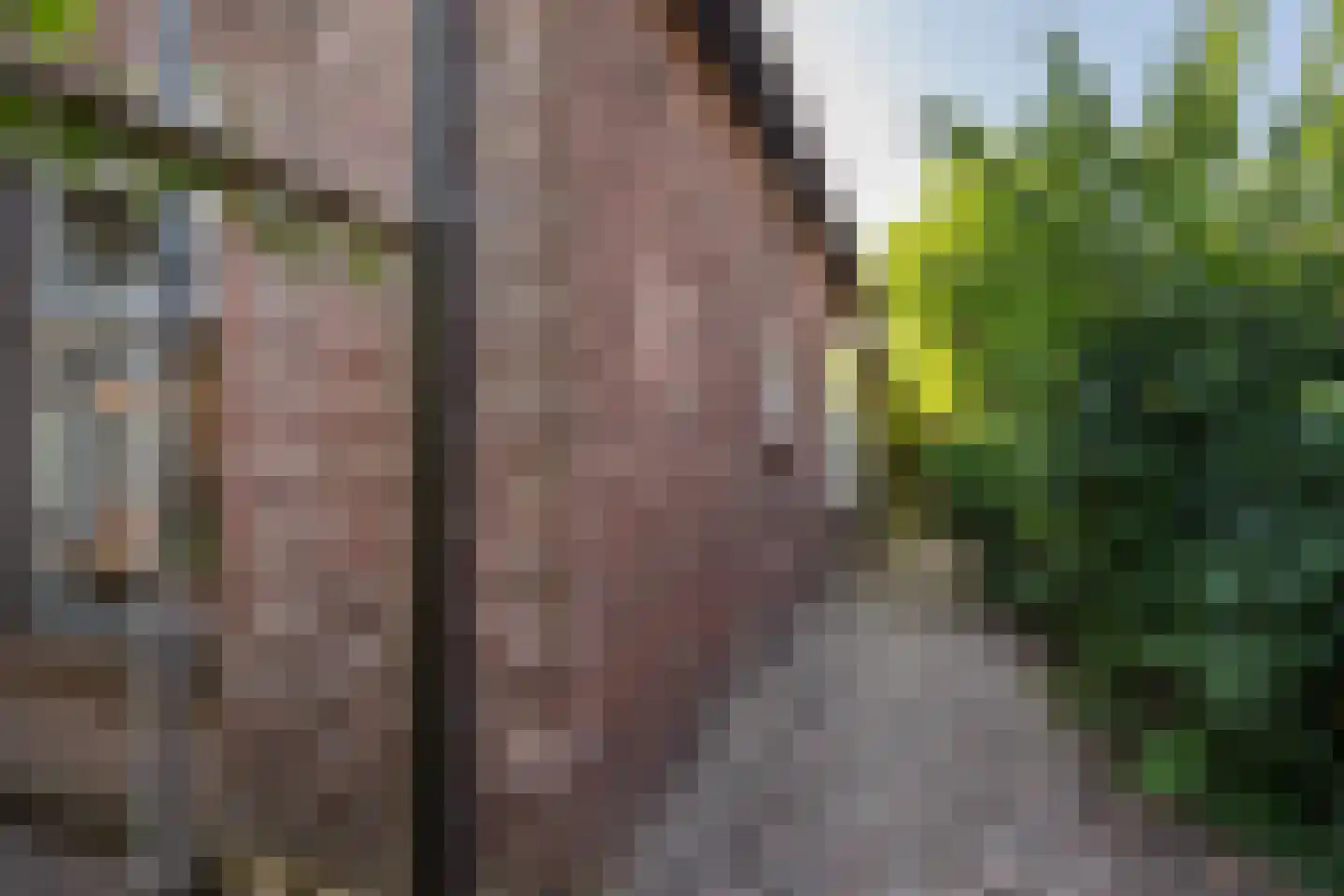 Hoogstraat 78 Sint-Oedenrode thumbnail 25