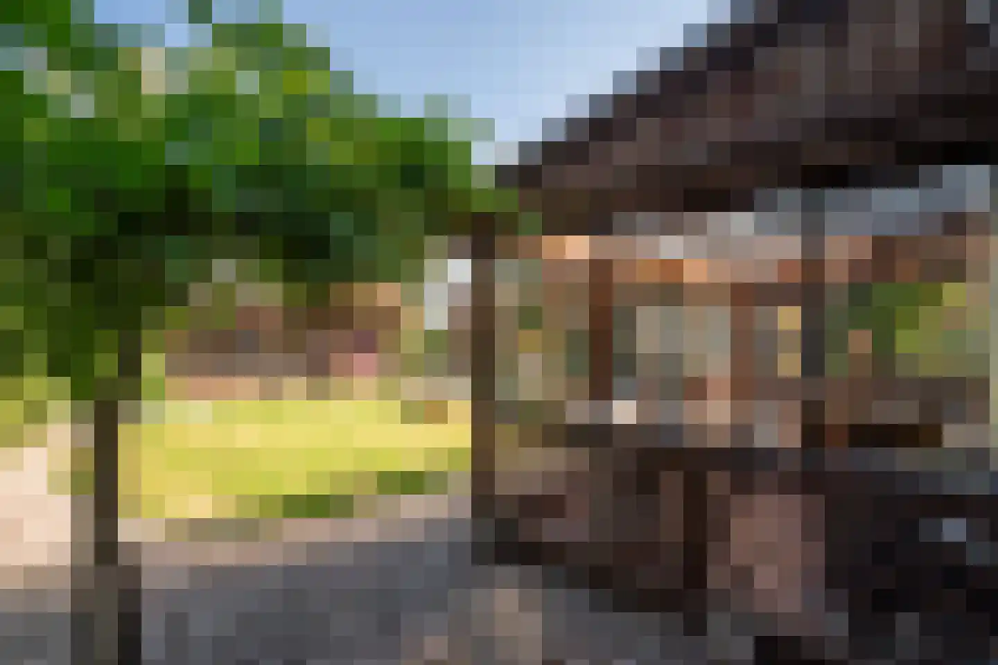 Hoogstraat 78 Sint-Oedenrode thumbnail 26