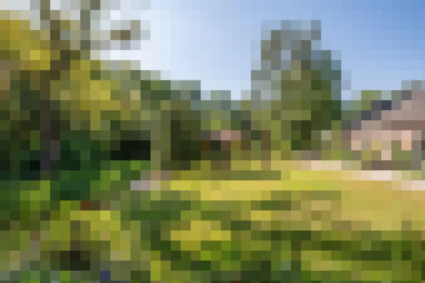 Hoogstraat 78 Sint-Oedenrode thumbnail 34