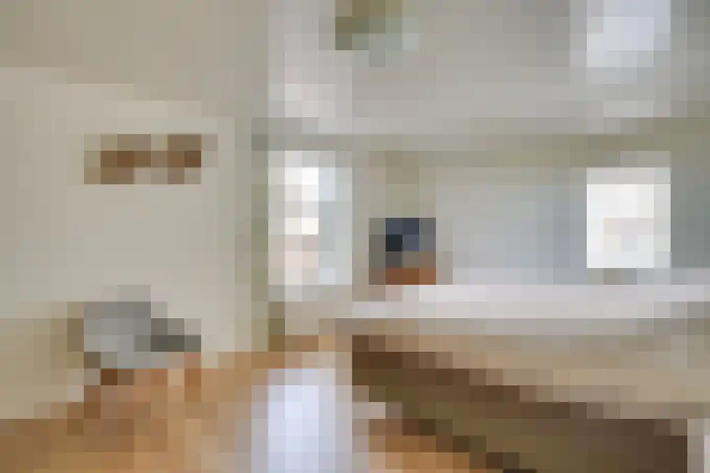Hoogstraat 78 Sint-Oedenrode thumbnail 4