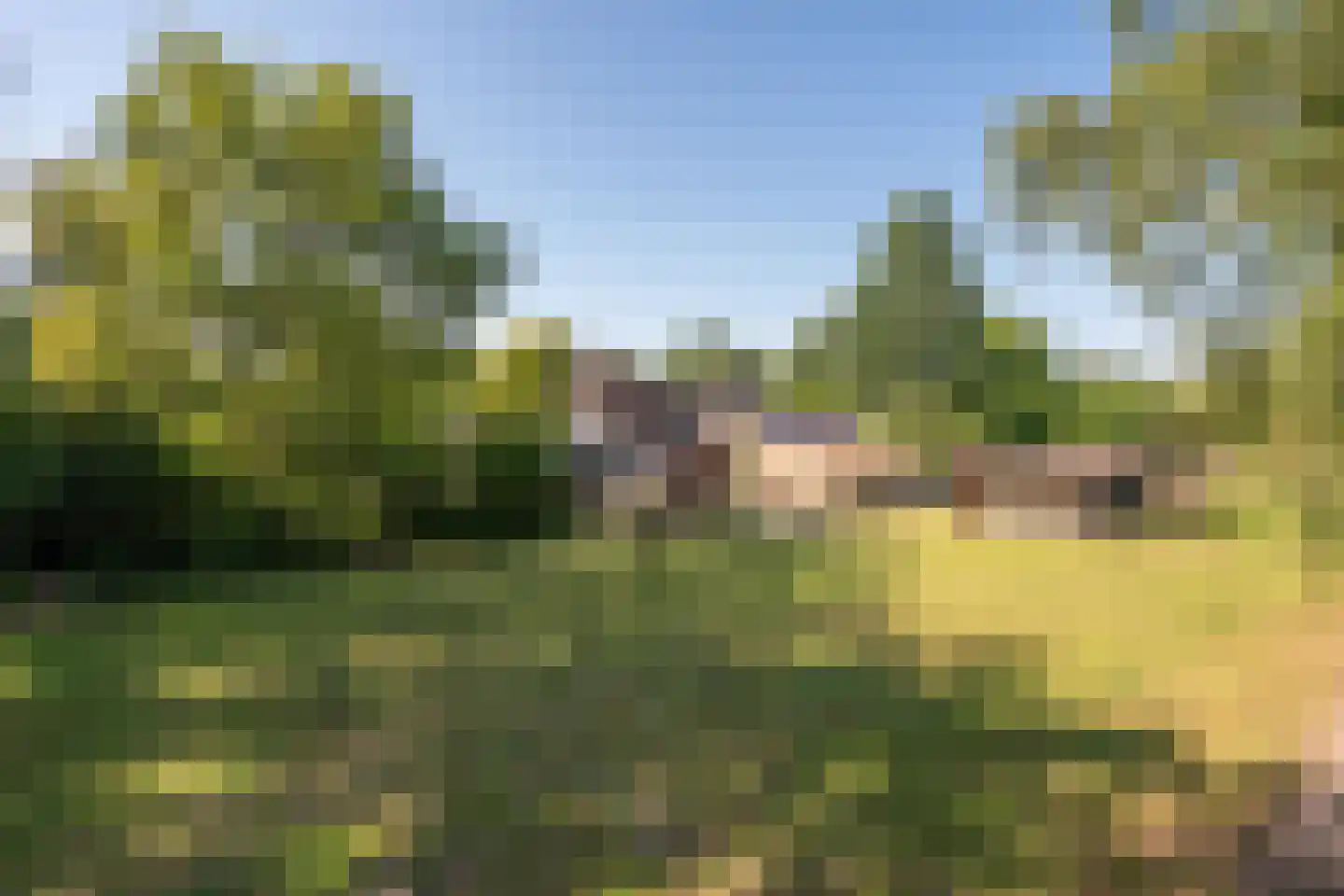 Hoogstraat 78 Sint-Oedenrode thumbnail 50
