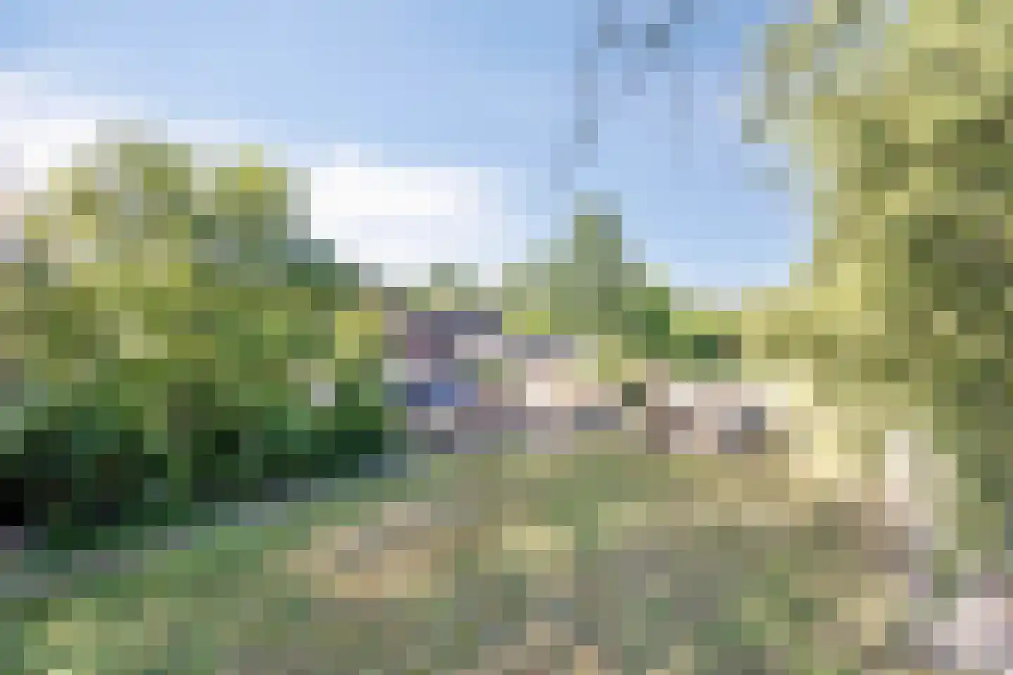 Hoogstraat 78 Sint-Oedenrode thumbnail 6