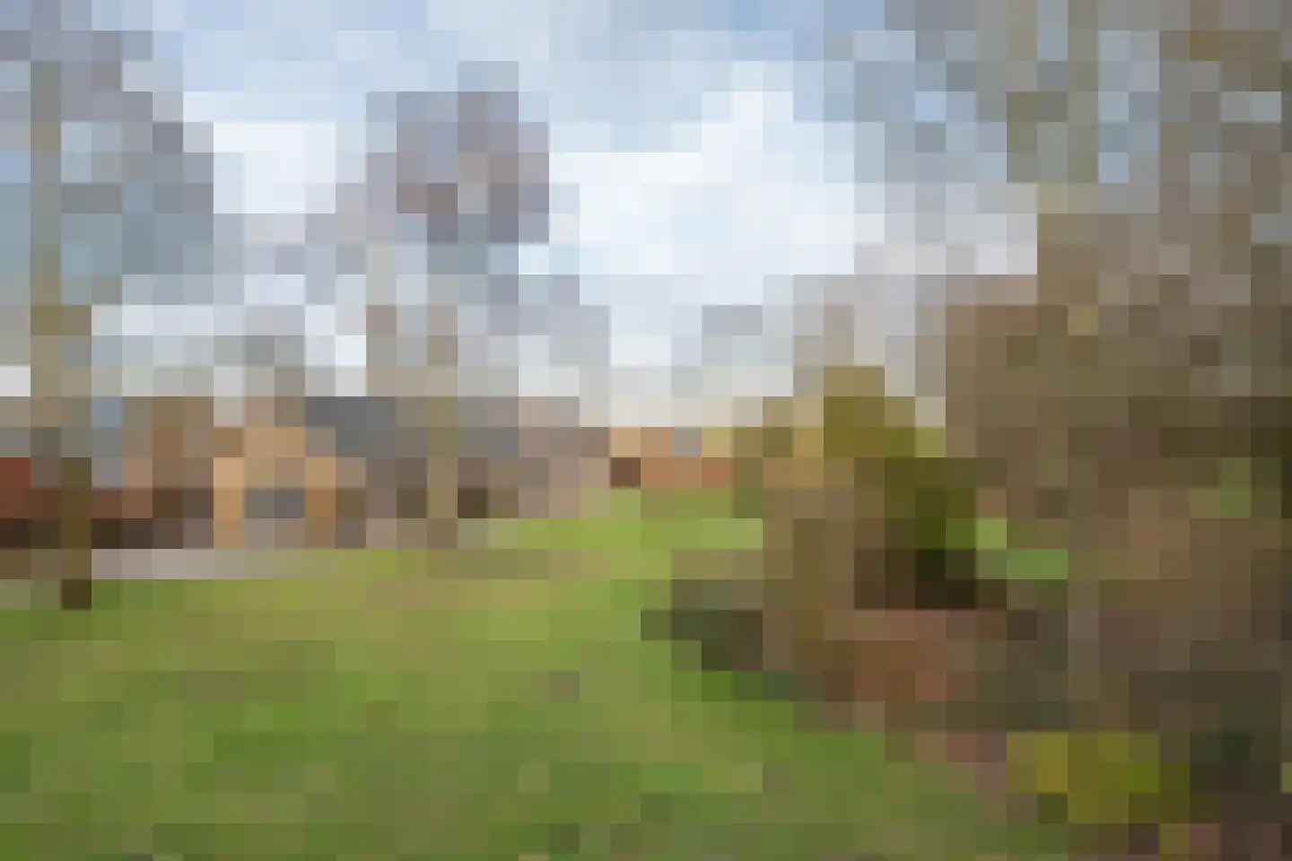 Hoogstraat 78 Sint-Oedenrode thumbnail 60