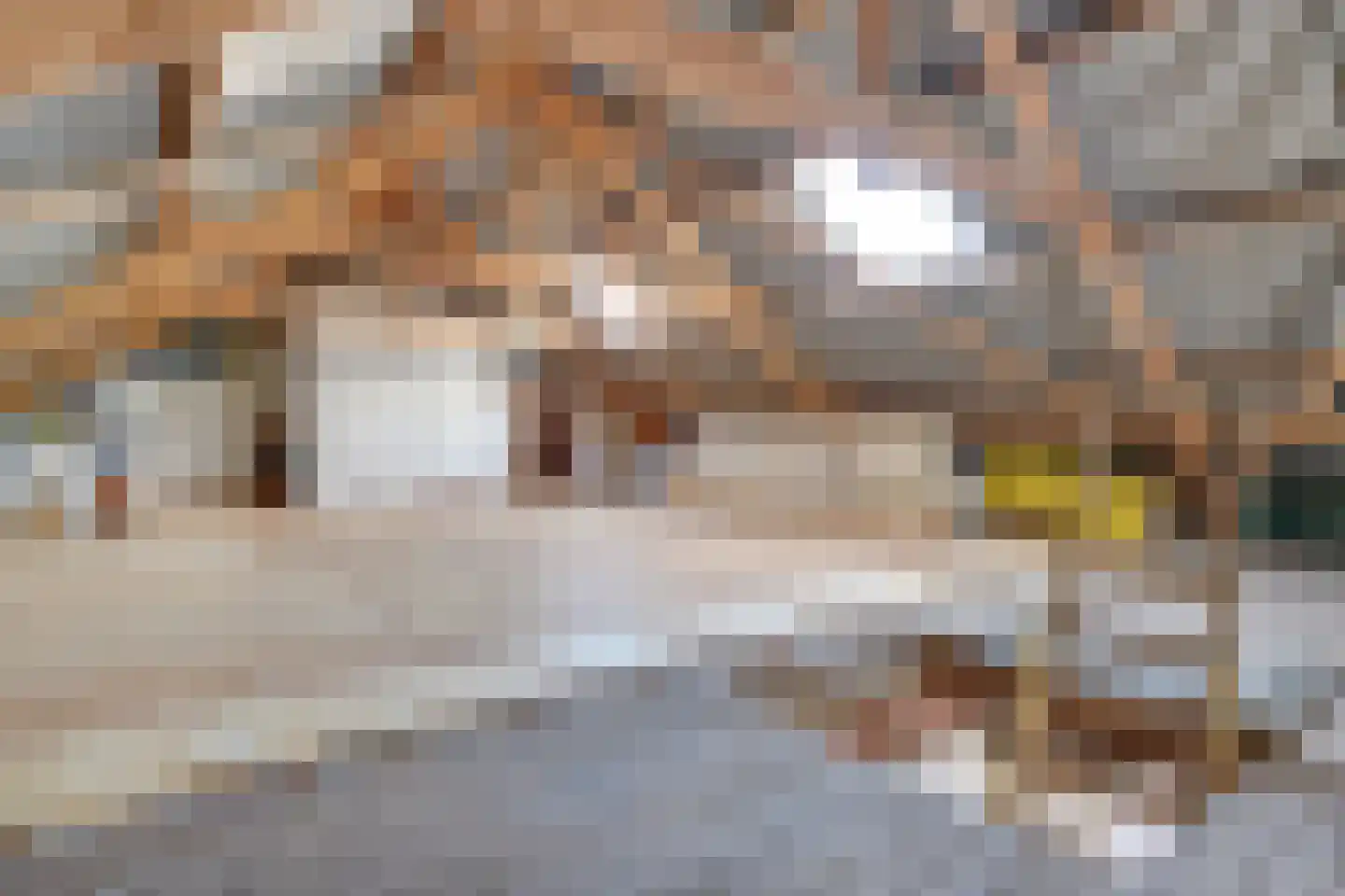 Hoogstraat 78 Sint-Oedenrode thumbnail 87