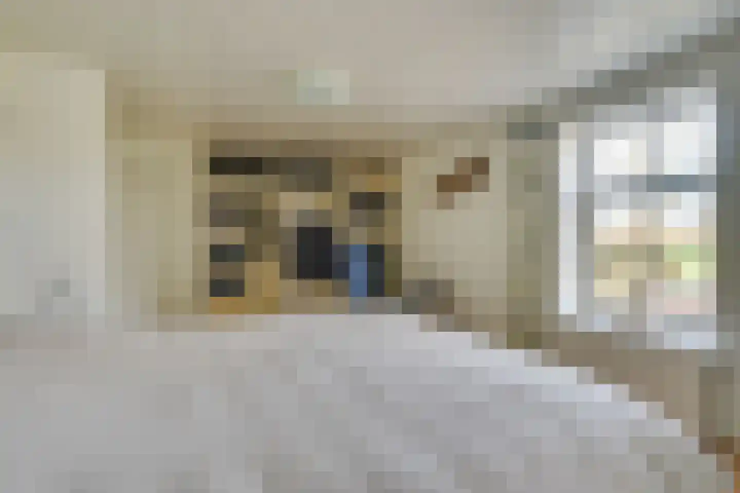 Hoogstraat 78 Sint-Oedenrode thumbnail 91