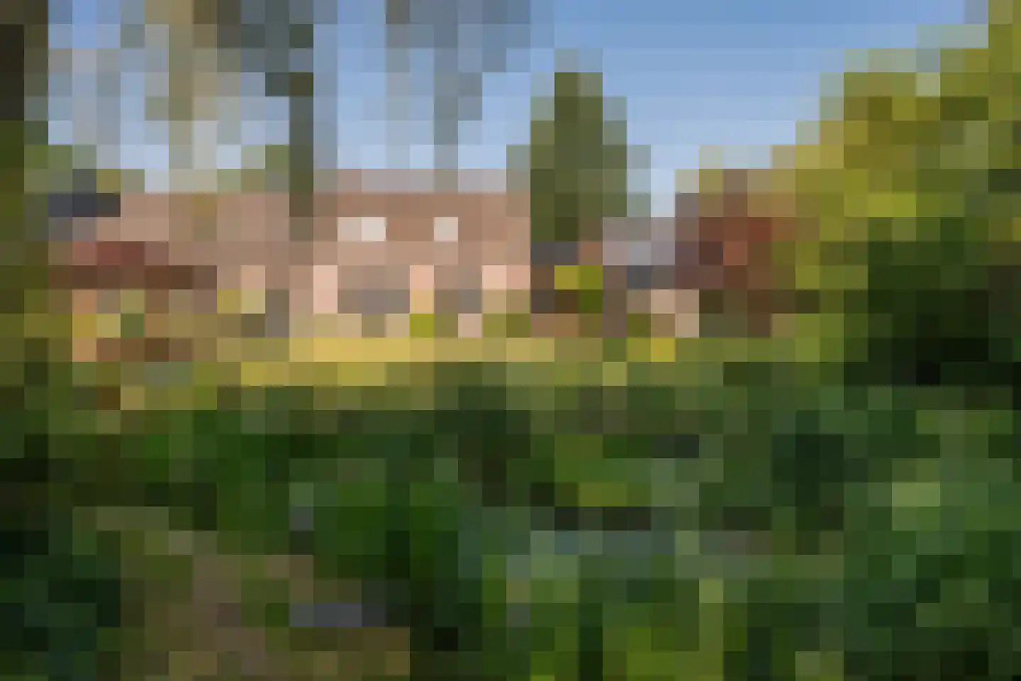 Hoogstraat 78 Sint-Oedenrode thumbnail 99