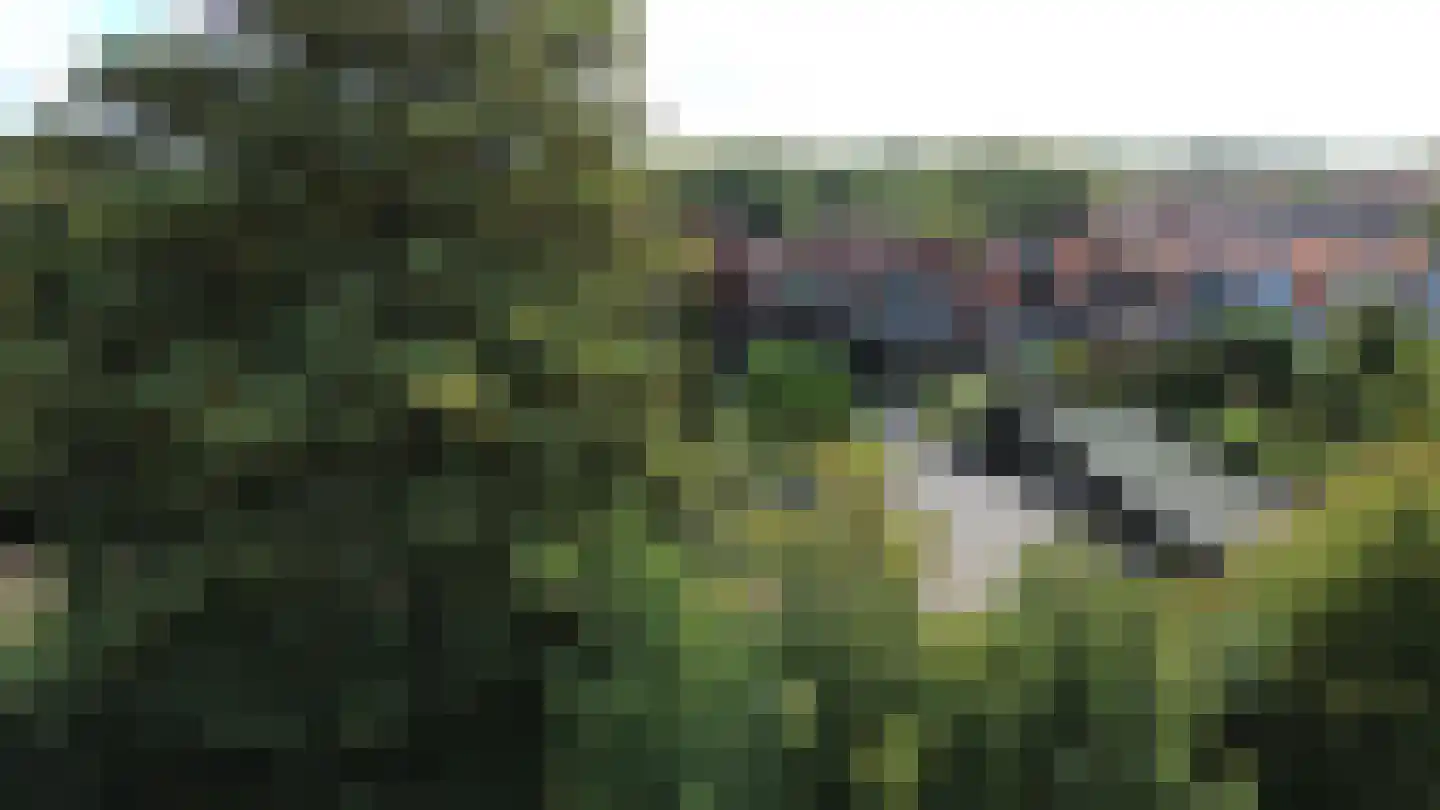Hoogstraat 79 102 Sluis thumbnail 46