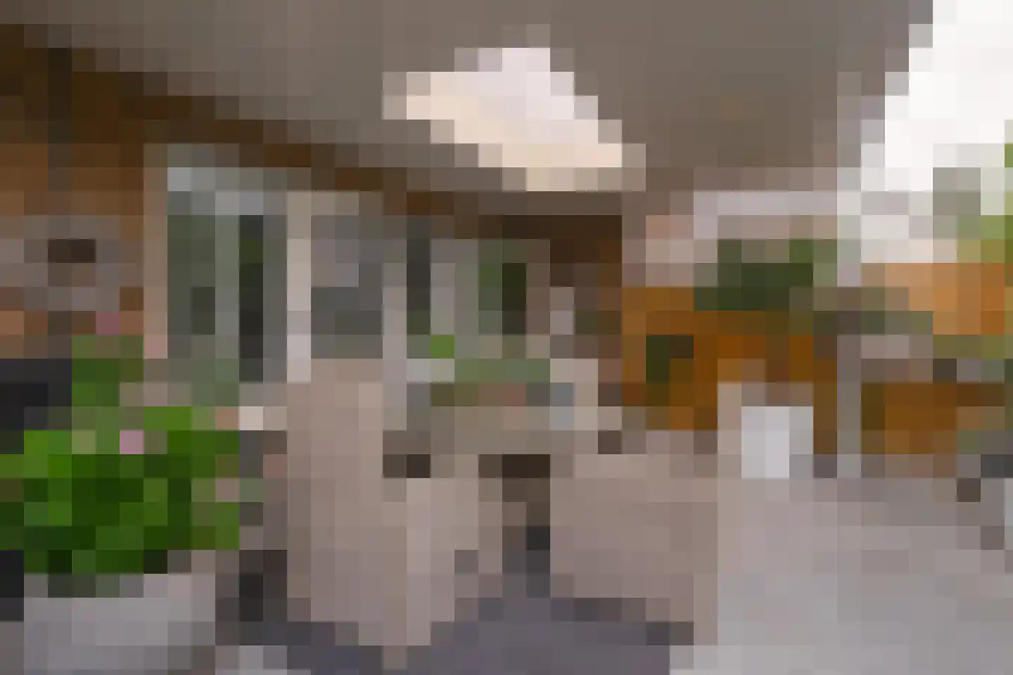 Hoogstraat 79 Landgraaf thumbnail 21