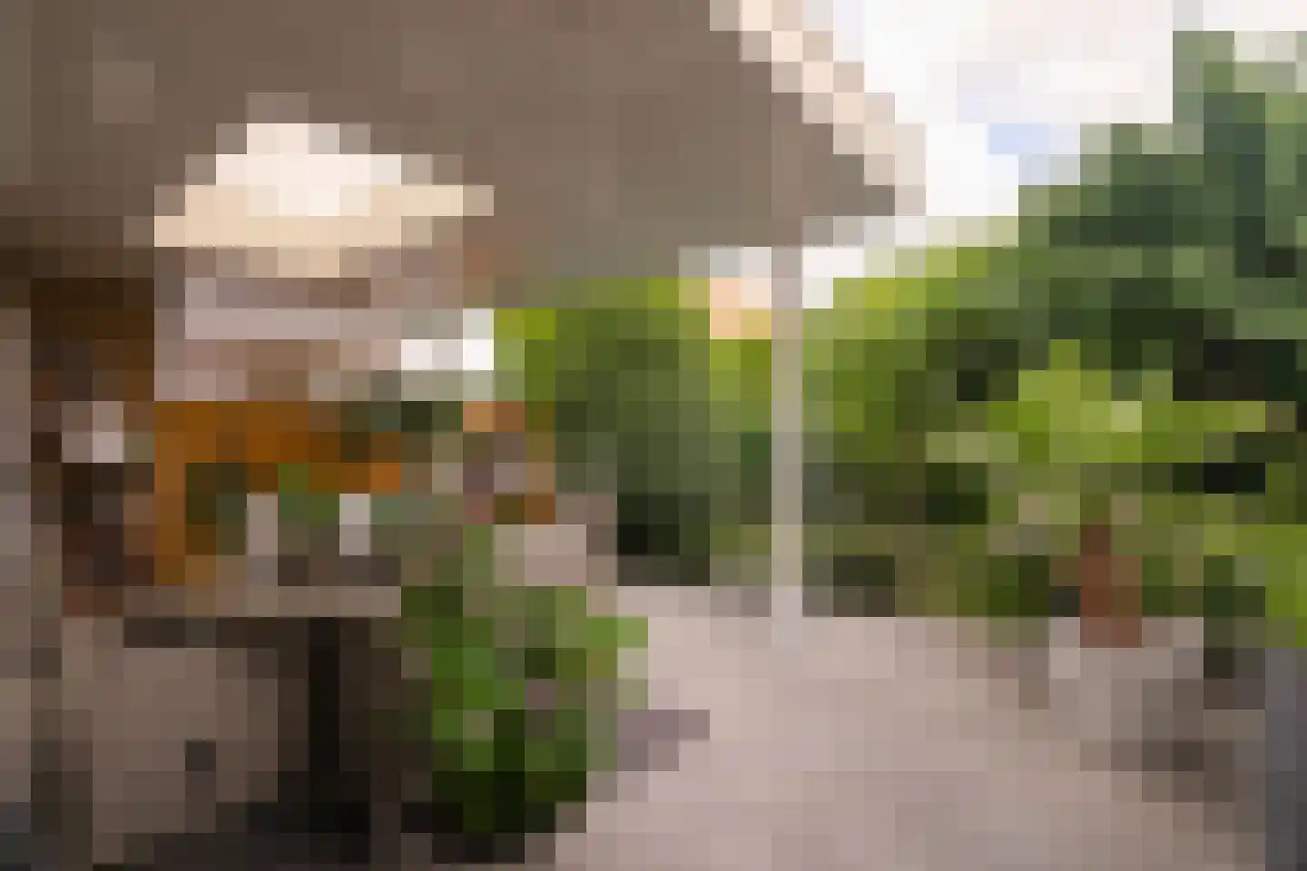 Hoogstraat 79 Landgraaf thumbnail 22