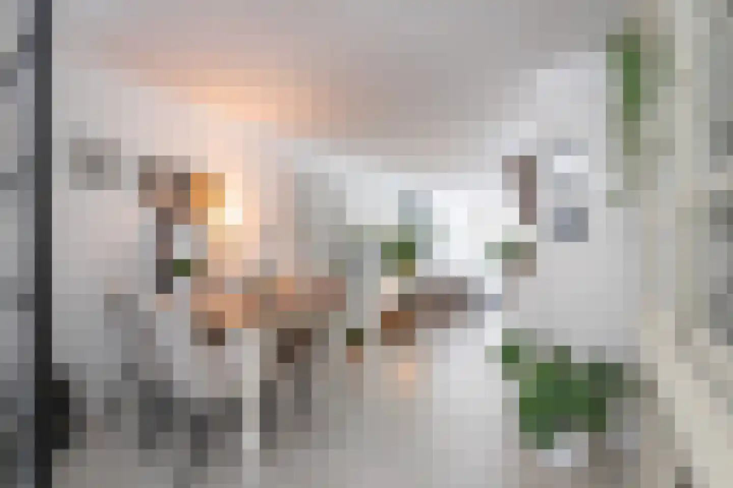 Hoogstraat 79 Landgraaf thumbnail 6