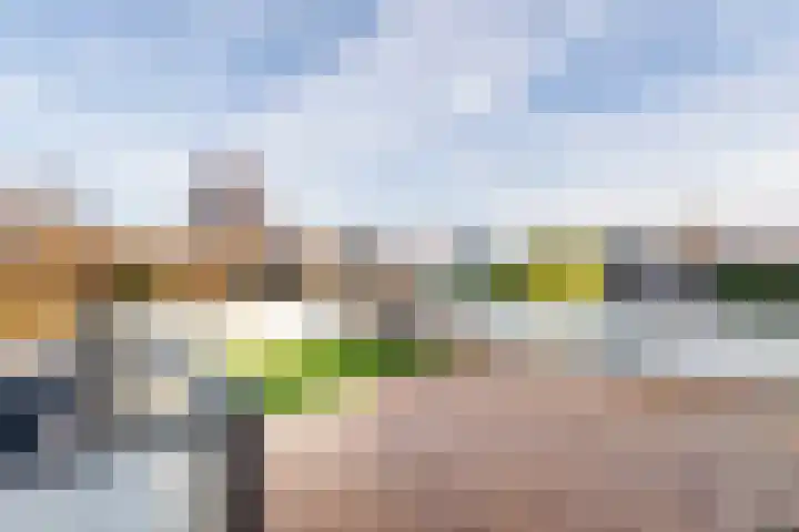 Hoogstraat 8 Beesd thumbnail 39