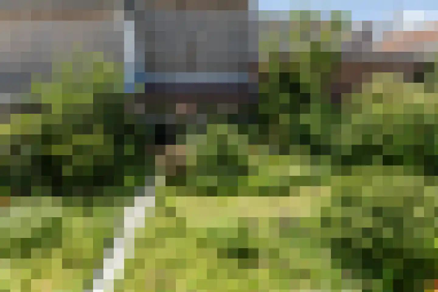 Hoogstraat 8 Bergen op Zoom thumbnail 45