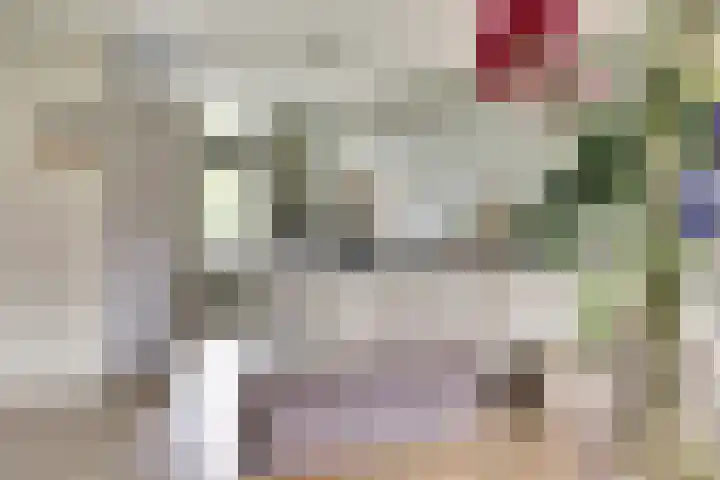 Hoogstraat 8 e Ewijk thumbnail 22