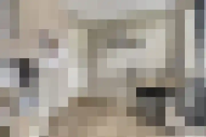 Hoogstraat 8 e Ewijk thumbnail 31