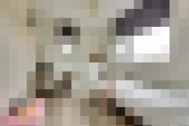 Hoogstraat 8 e Ewijk thumbnail 32