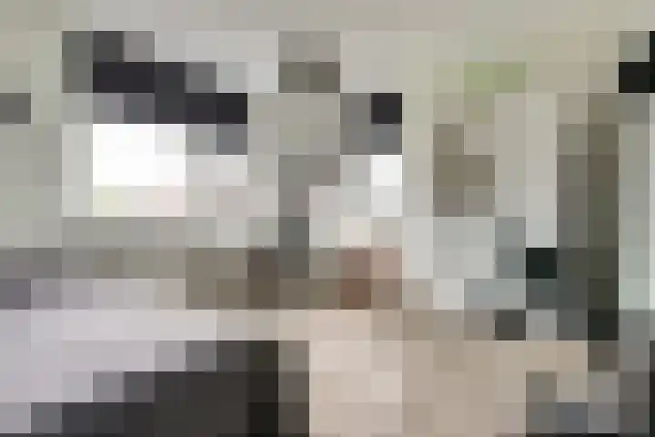 Hoogstraat 8 e Ewijk thumbnail 33