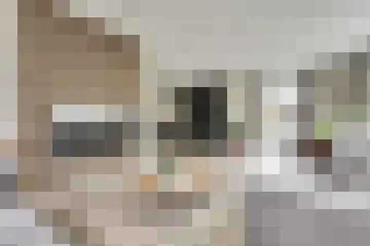 Hoogstraat 8 e Ewijk thumbnail 7
