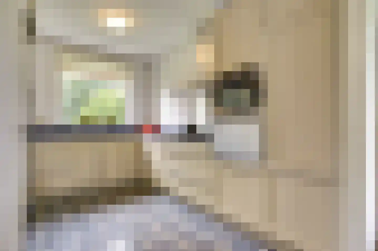 Hoogstraat 8 Eersel thumbnail 10