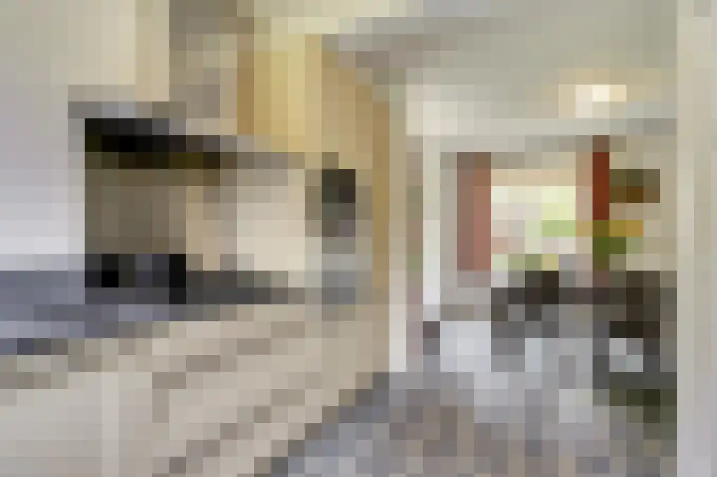 Hoogstraat 8 Eersel thumbnail 13