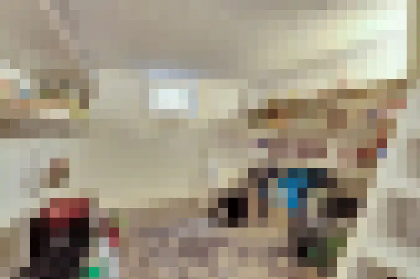 Hoogstraat 8 Eersel thumbnail 14
