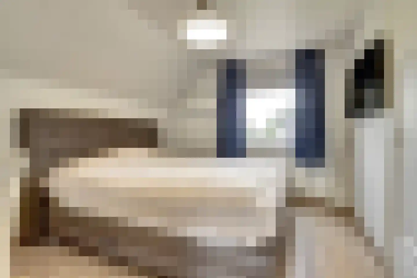 Hoogstraat 8 Eersel thumbnail 25