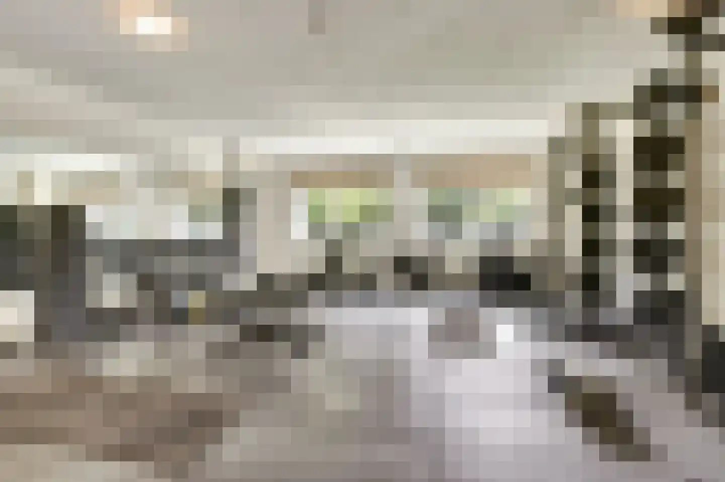 Hoogstraat 8 Eersel thumbnail 36