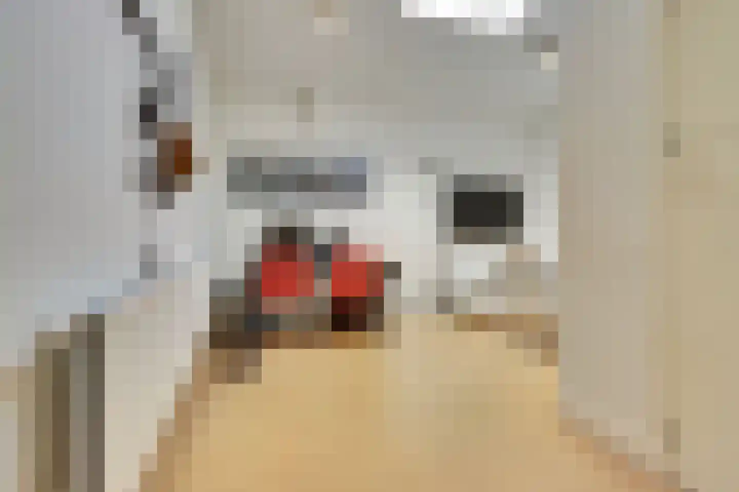 Hoogstraat 8 Eersel thumbnail 41
