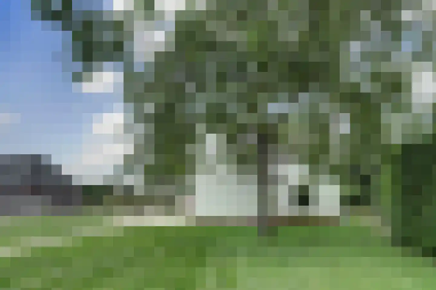 Hoogstraat 8 Eersel thumbnail 48