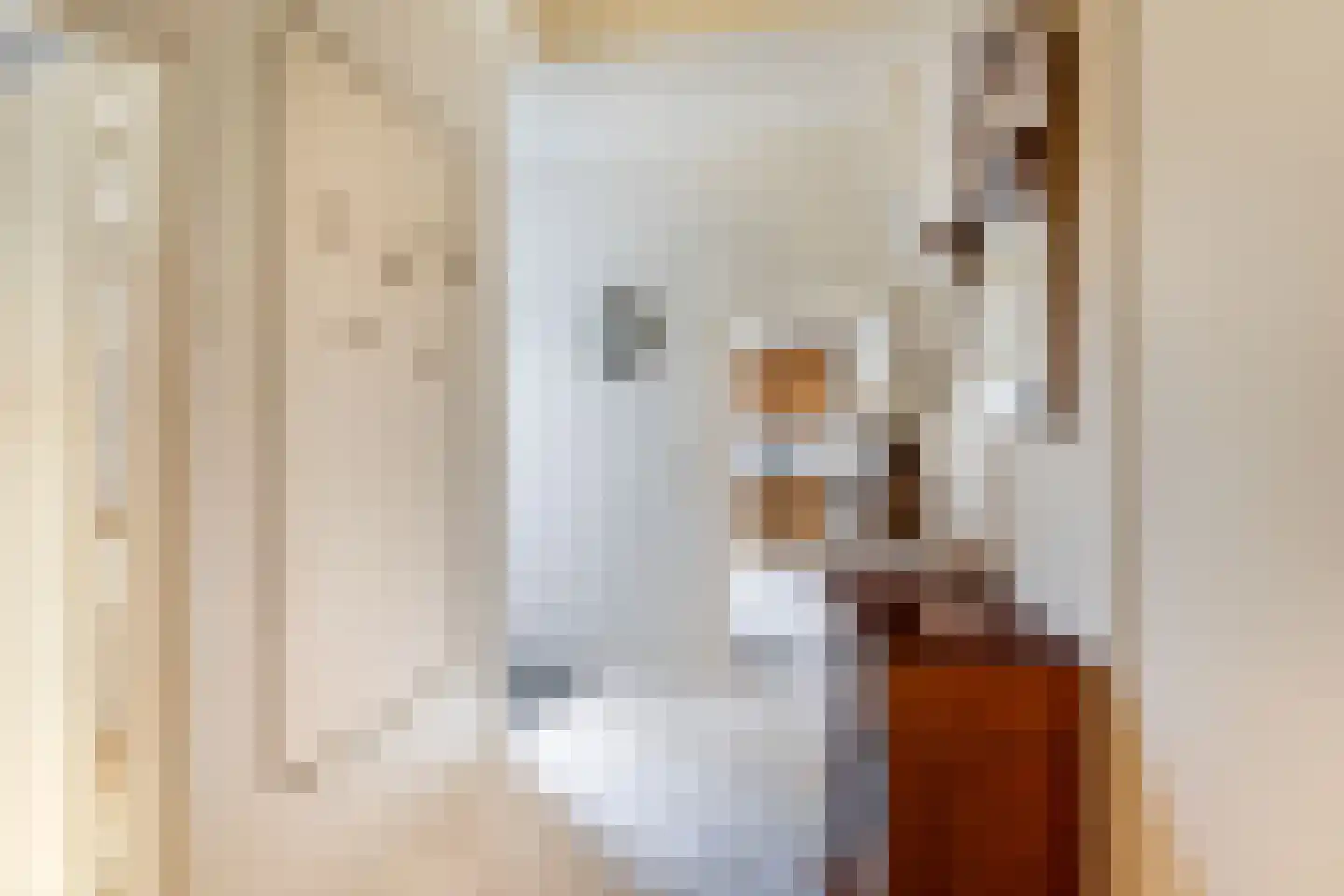 Hoogstraat 8 Tholen thumbnail 12