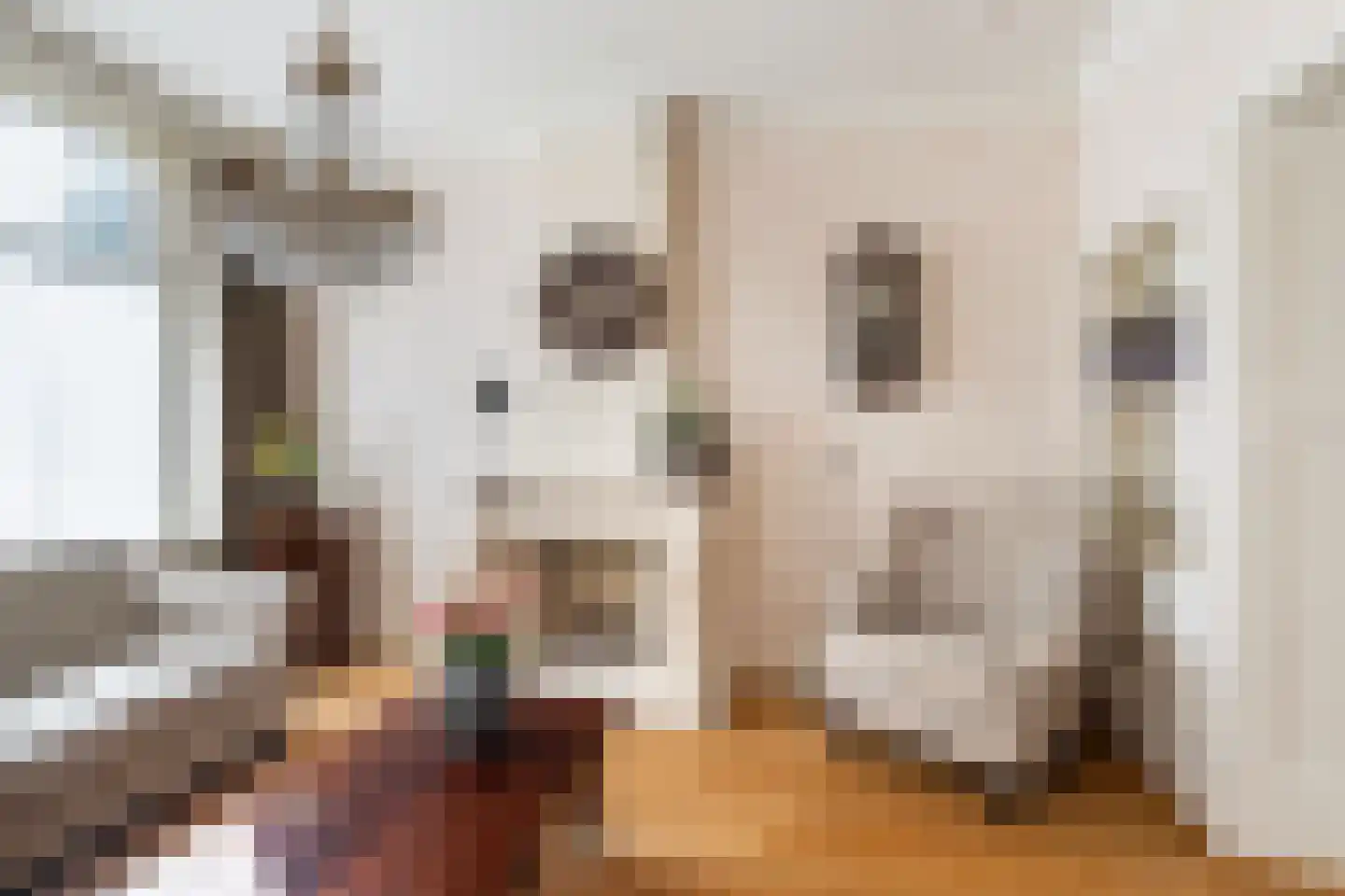 Hoogstraat 8 Tholen thumbnail 15