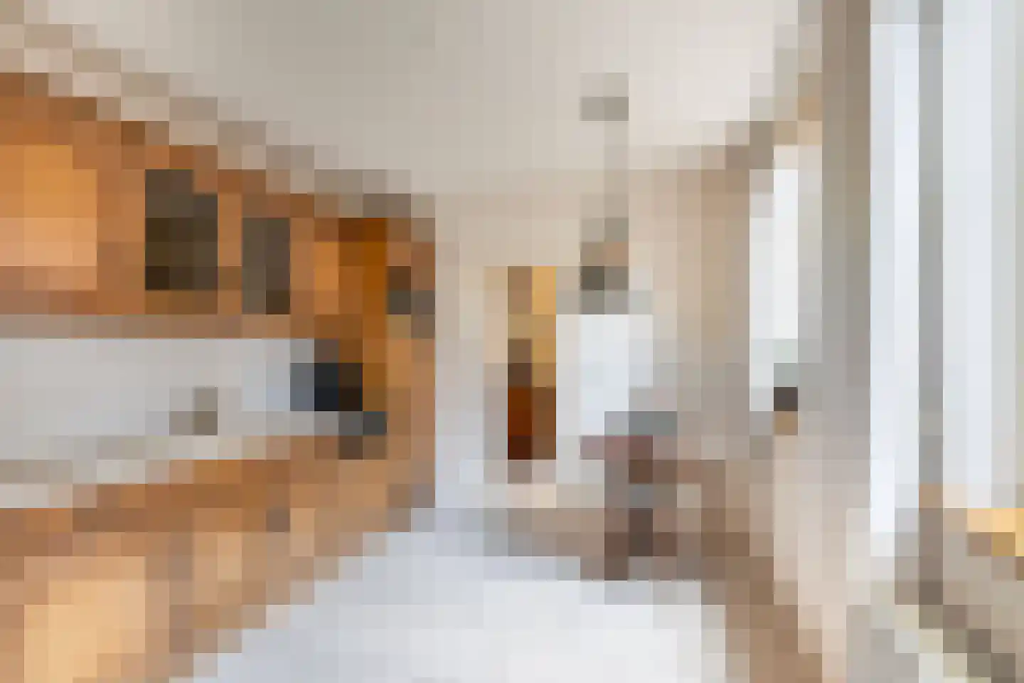 Hoogstraat 8 Tholen thumbnail 21